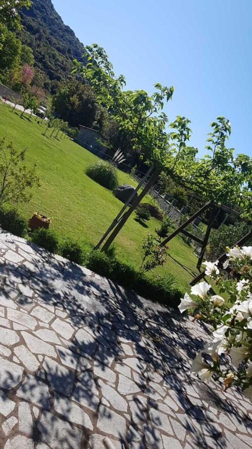 House With Big Garden And Barbeque In Nature Vurgaréli Kültér fotó