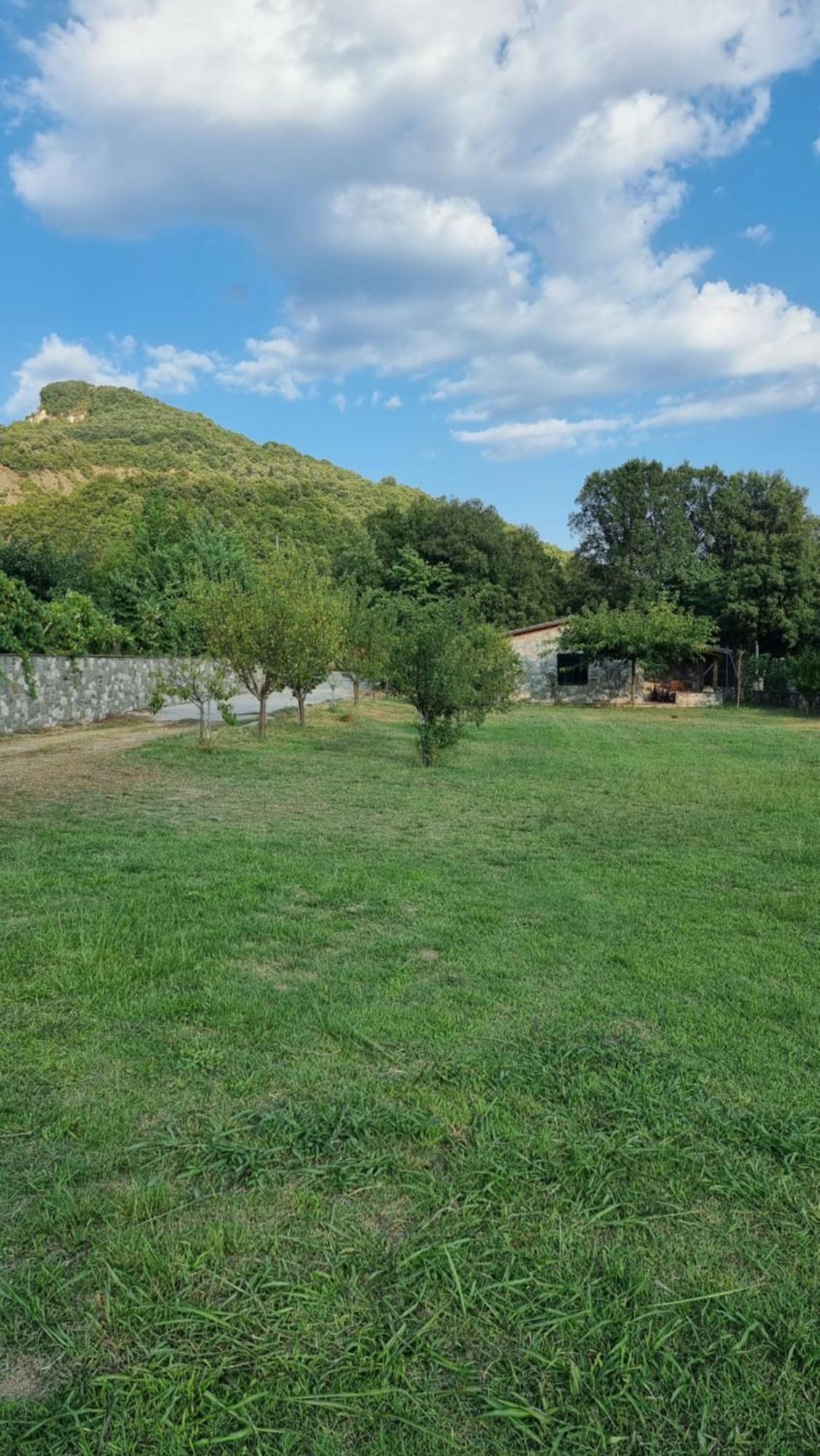 House With Big Garden And Barbeque In Nature Vurgaréli Kültér fotó